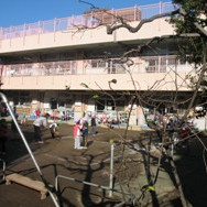 高円寺東保育園