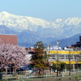 藤島幼稚園