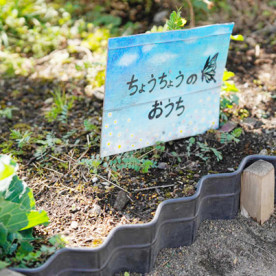 明星台幼稚園の写真5