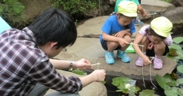 早稲田幼稚園