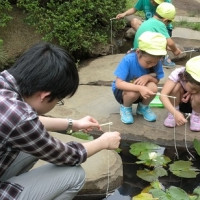 早稲田幼稚園の写真3