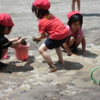 早稲田幼稚園の写真2