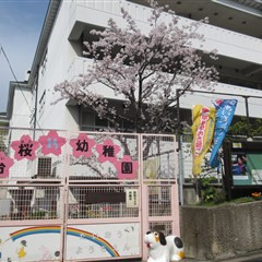 台桜幼稚園