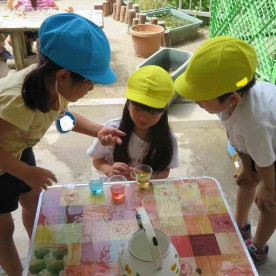 江東区立豊洲幼稚園の写真3