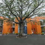 原宿幼稚園の写真3
