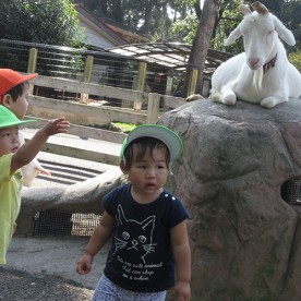 南加積保育園