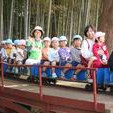 水元幼稚園の写真3