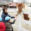 水元幼稚園の写真5