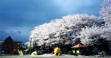 美住幼稚園