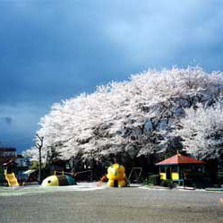美住幼稚園