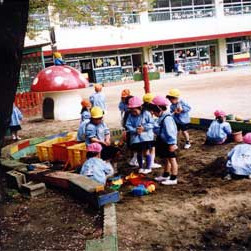 美住幼稚園の写真3