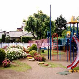 美住幼稚園の写真2