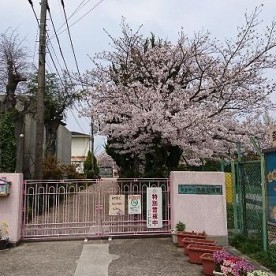 済美幼稚園