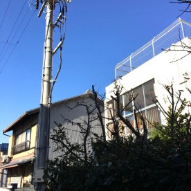 みのり保育園の写真1