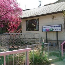 桃の木保育園