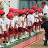 牛込仲之幼稚園の写真3