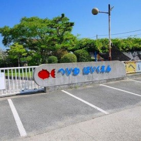 大和郡山市立平和幼稚園の写真2
