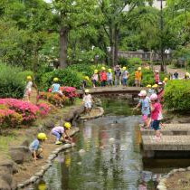 菊川幼稚園の写真3