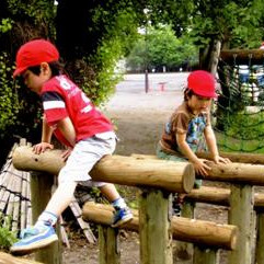 余丁町幼稚園の写真3