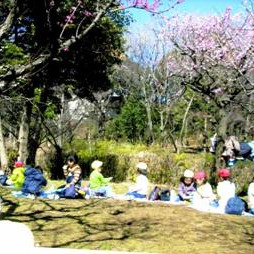 余丁町幼稚園の写真2