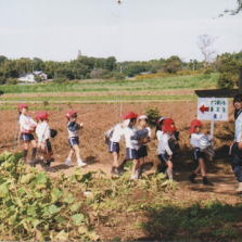 宇喜田幼稚園の写真2