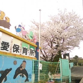 恵愛保育所の写真2