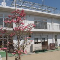 うみ保育園