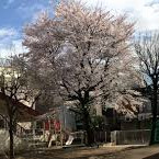ふたば幼稚園