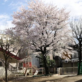 大泉文華幼稚園