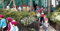 八広幼稚園
