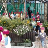 八広幼稚園の写真5