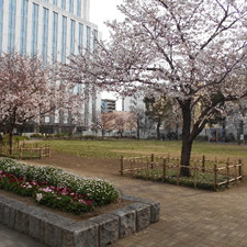 いずみこども園の写真2