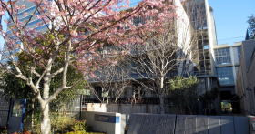芝浦幼稚園