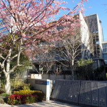 芝浦幼稚園