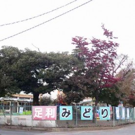 足利みどり幼稚園