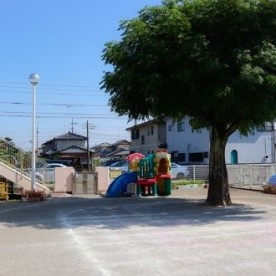 しんまち保育園の写真3