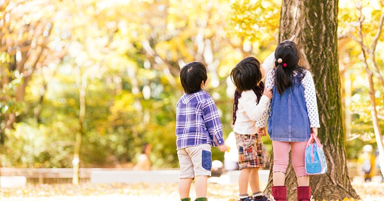 認定こども園あかみ幼稚園