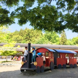 認定こども園メイプルキッズ