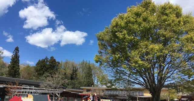 認定こども園メイプルキッズ