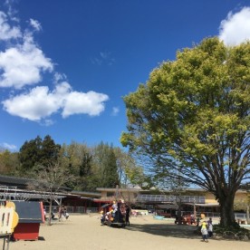 認定こども園メイプルキッズの写真2
