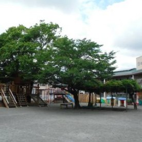聖母幼稚園