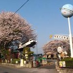 晃望台幼稚園