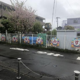 すみれ保育園の写真3