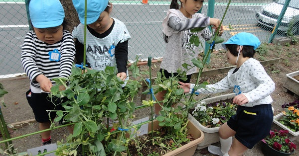 落合第三幼稚園