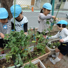 落合第三幼稚園の写真3