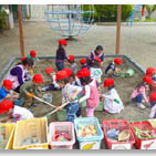 桃井幼稚園の写真4