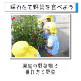 成瀬台　幼稚園の写真5