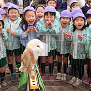 たかのだい幼稚園の写真4