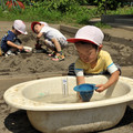 白梅幼稚園の写真4