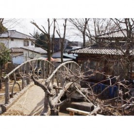 ありんこ保育園の写真2